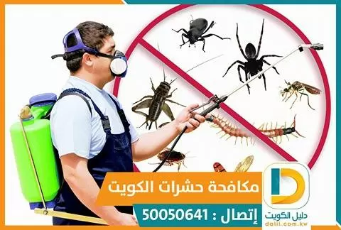 عجينة الصراصير الاصلية بالكويت 50050641
