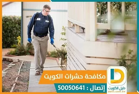 جل الصراصير الامريكي في الكويت 50050641