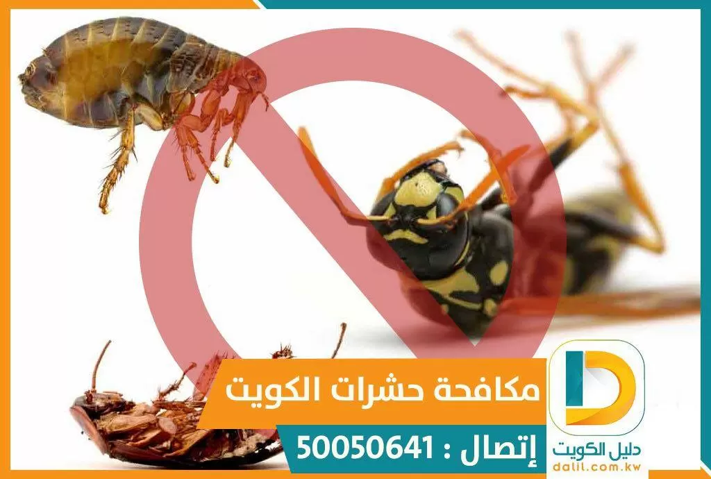 شركة مكافحة البق بالكويت 50050641