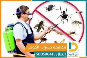 ابادة الحشرات الطائرة والزاحفة بالكويت 50050641