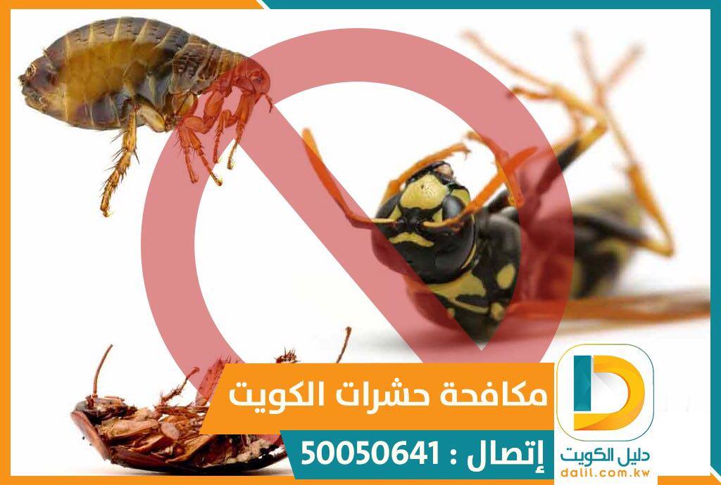 شركة مكافحة البق بالكويت 50050641