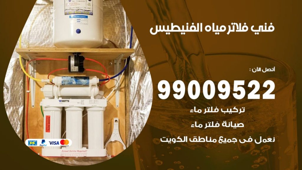 فني فلاتر مياه الفنيطيس