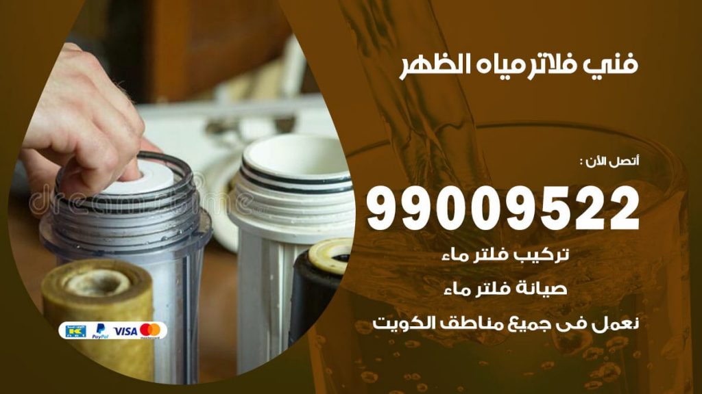 فني فلاتر مياه الظهر